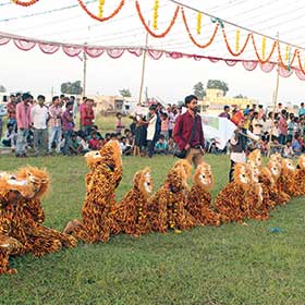 Tiger Pola Ceremony