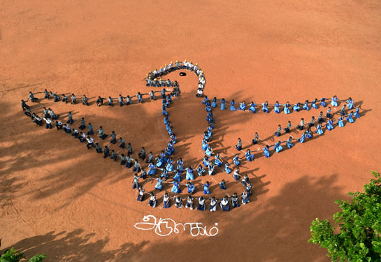 Inculcating conservation values among students is one among the many environmental activities that Arulagam undertakes in and around the Nilgiri Biosphere Reserve.