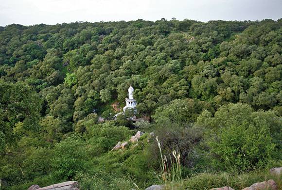 Mangar Bani And Other Forests