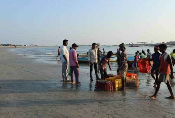 How the Lockdown Threw 16 Million Fishers into Chaos