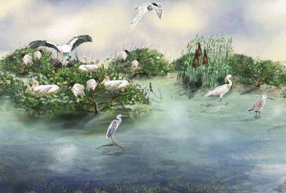 Is this a Farewell to Vedanthangal as we Know it?