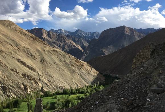 The Verdant Desert