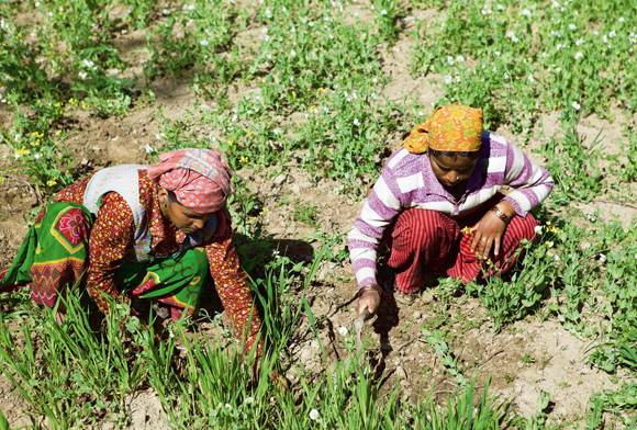 Feeding The World: Women And Biodiversity
