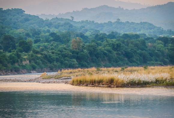 Jasrota Jammu’s Forest Of Peace