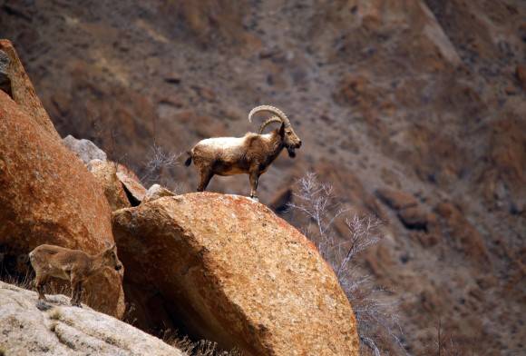 Seeding Conservation through Community Action