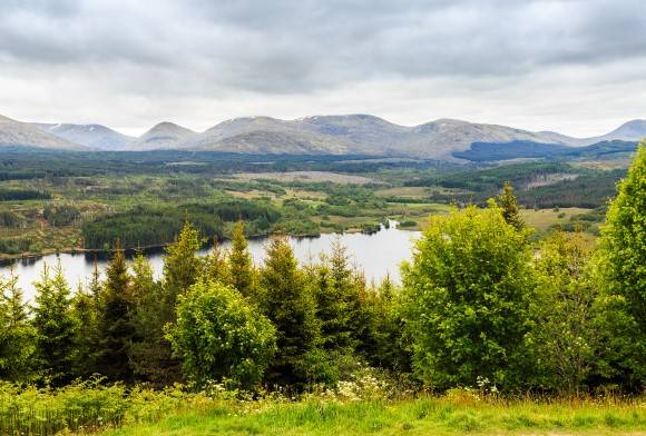 Restoring Ecosystems, Rooftop Farms... and Other News!