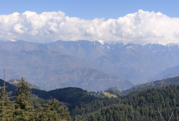 Chamba, of Sacred Langurs.