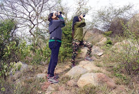 The Birding Brigade