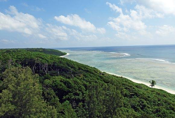 Bridging The Gaps - Community Conservation Of Dugongs In The Andaman Islands