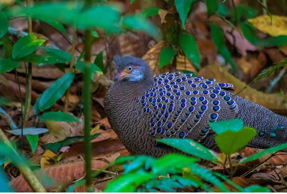 Inbox September 2022