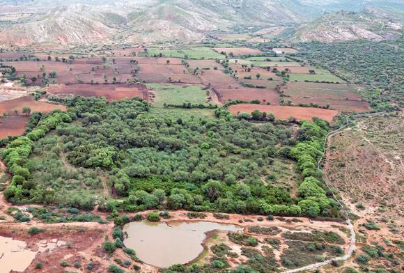 Rewilding India, One Parcel Of Land At A Time