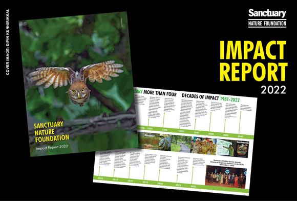 Sanctuary Impact Report 2022-2023