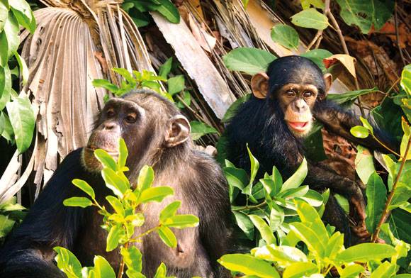 Did You Know January 2024