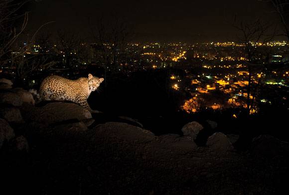 Cub News - March 2024