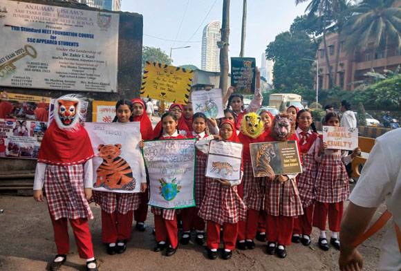 Kids For Tigers Update - May 2025