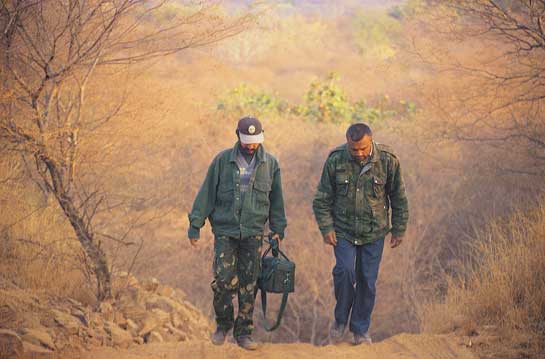 G.V. Reddy on foot patrol in Ranthambhore.