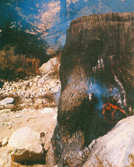 As a consequence, even their simple demands for charcoal and fuel wood have begun to contribute to the degradation of Himalayan slopes. It is a tragedy that the people who hold the destiny of the great Himalaya in their hands are not from the mountains. They do not understand the spirit, nor the strength of this land. Yet they have the power to destroy the slender balance on which hinges the peace and prosperity of its simple people. As a consequence, even their simple demands for charcoal and fuel wood have begun to contribute to the degradation of Himalayan slopes. It is a tragedy that the people who hold the destiny of the great Himalaya in their hands are not from the mountains. They do not understand the spirit, nor the strength of this land. Yet they have the power to destroy the slender balance on which hinges the peace and prosperity of its simple people.