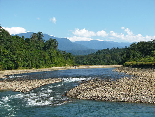 The Noa-Dehing river or Diyun, as it is called locally, originates from the mountains near the Chokan Pass on the Indo-Myanmar border and flows east-west before merging with the mighty Brahmaputra. With the Namdapha river, it waters Arunachal Pradeshs Namdapha Tiger Reserve.