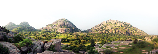 On top of the world - a leopards view on life in Jawai. On top of the world - a leopards view on life in Jawai.
