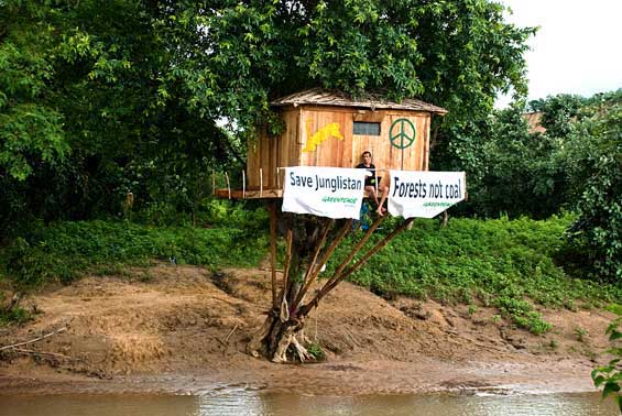 The author, a Greenpeace activist, chose to spend 30 days on a tree on the banks of a stream near Tadobas tiger forests, to highlight how coal mining is wiping out our last remaining wilderness pockets.
