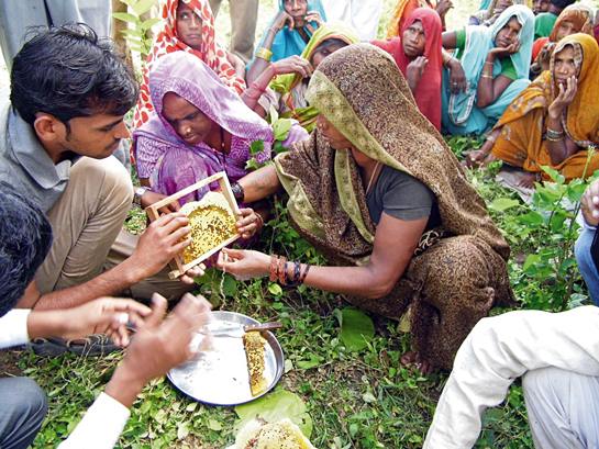 Women trainees in Hoshangabad district of Madhya Pradesh learning how to tie Apis cerana honeycombs found in the wild, on to the wooden frames of a bee-box.