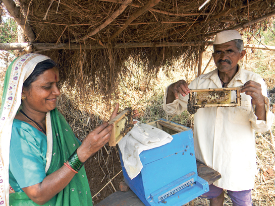 A farmer and his wife from Kolhapur, one of Under The Mango Trees early project areas, proudly showcase their bee-box.
