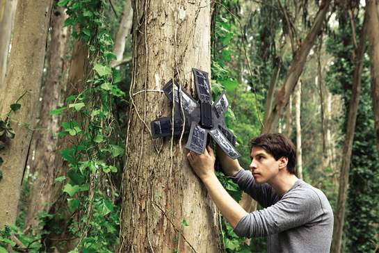 The physical placement of the Rainforest Connection (RFCx) hardware shown here is intended for display purposes only. Here, Topher White is seen with the harware that is low-mounted. When properly installed in tree canopies, RFCx hardware is well-obscured and considered virtually invisible.