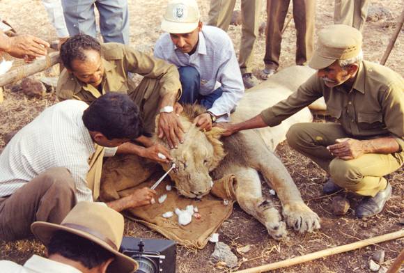 Gir Rescue Team