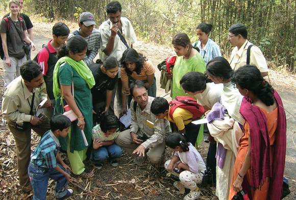 Dr Parvish Pandya
