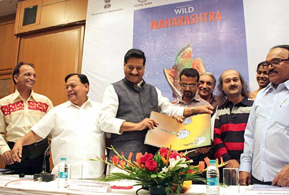 Best Tiger State Award