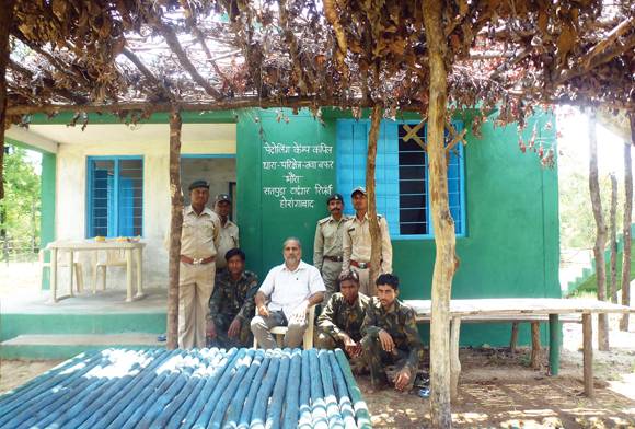 Ramesh Pratap Singh, IFS (Retired)