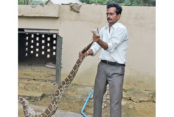 Rajveer Singh Rajawat