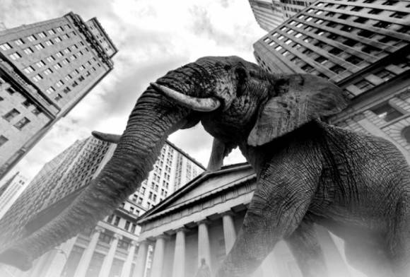 The Concrete Jungle