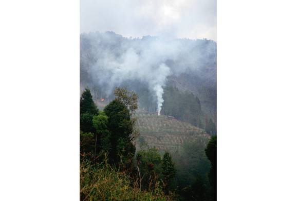 North Bengal Bonfire