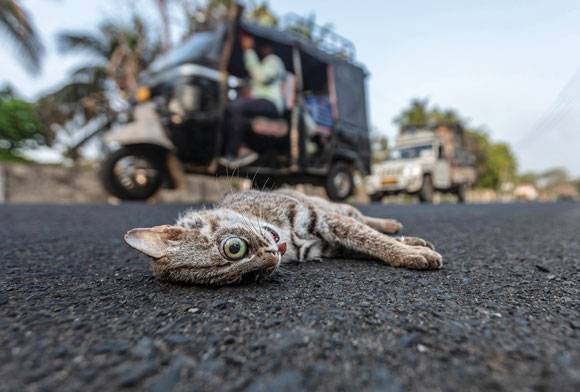 Eyeing Death