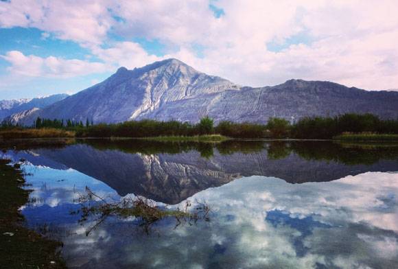 Perfect mirror