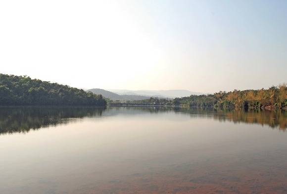 Cashew Feni and Forest Tales