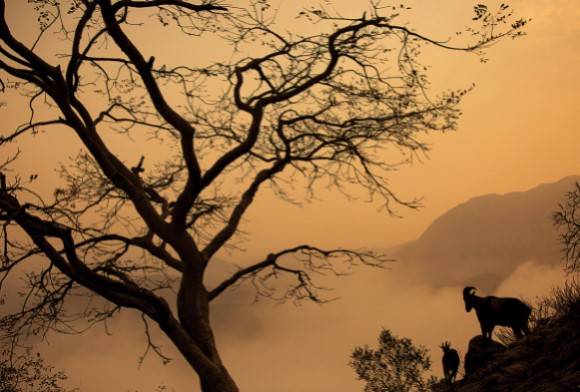 A Climate for Solutions