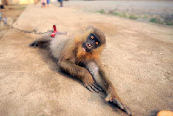 Working Beyond the Click of a Shutter