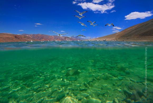 Nature Needs Half: A Hopeful New Agenda For Protected Areas