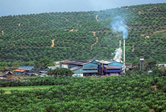 Meet David Wallace Wells