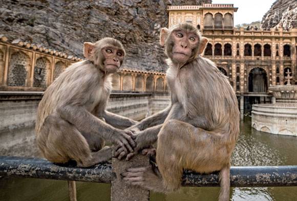 A Global Call to Action in 2020