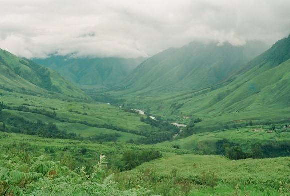 Writing for Forests in the Dibang Valley
