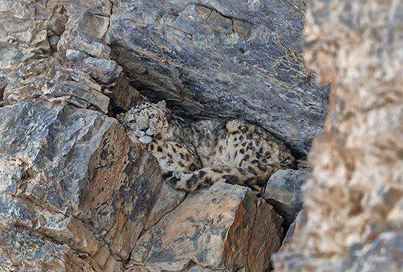 Meet Koustubh Sharma