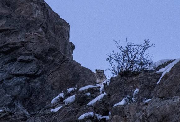 Looking at the Bright Side this World Environment Day