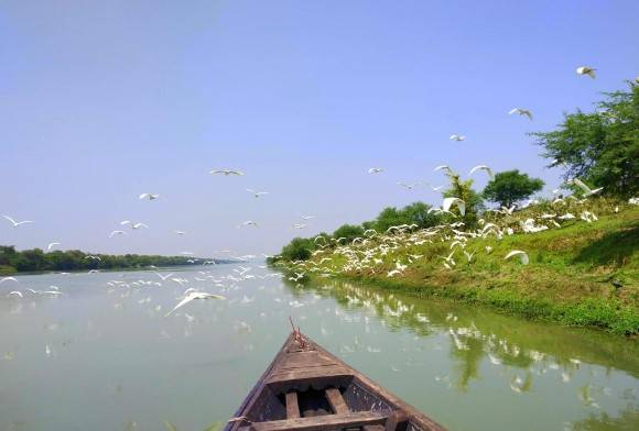 An Elephant and a Whale Walk Into a Bar