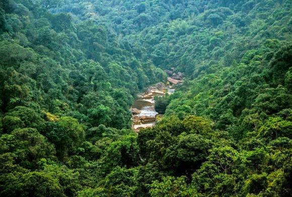Analysing India's Environmental Governance
