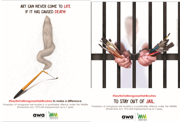 NGO Profile: Artists With Animals