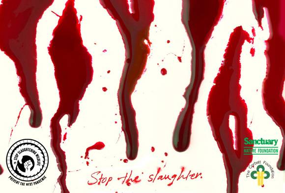 Stop Slaughtering Wildlife