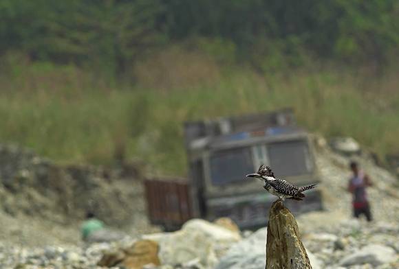 Mines, Minerals And People